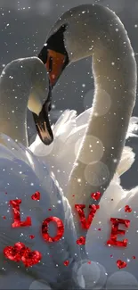 Two elegant swans with red love text, creating a romantic winter scene.