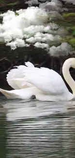 Graceful swan glides on a serene lake with fluffy clouds overhead.