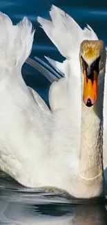 A graceful swan glides on calm blue water.