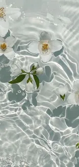 Floating white flowers on shimmering water.