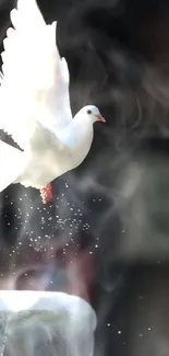 White dove gracefully flying above a fountain.