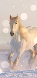 White horse galloping through snowy landscape at dawn.