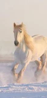 White horse galloping in snowy landscape mobile wallpaper.