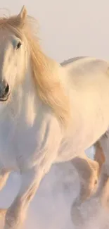 A majestic white horse running through a snowy landscape.