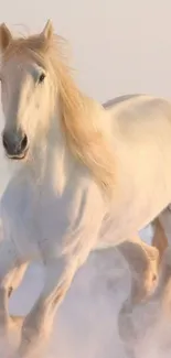 Majestic white horse galloping on snow.