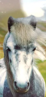 Graceful white horse in a serene natural setting.