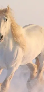 White horse galloping through snowy landscape.