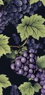 Illustrated grape vine with leaves on a dark backdrop.