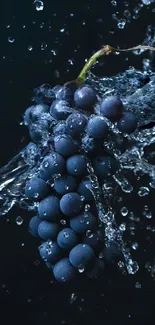 Dynamic image of grapes splashed with water on a dark blue background.