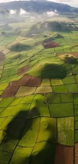 Grass Cloud Sky Live Wallpaper