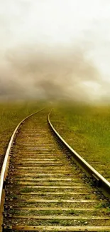 Grass Outdoor Fog Live Wallpaper