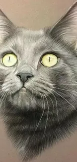 Gray cat portrait with yellow eyes on gray background.