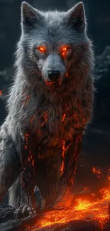 Gray Fire Wolf Live Wallpaper