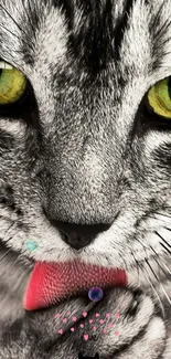 Close-up of a gray tabby cat with yellow-green eyes.