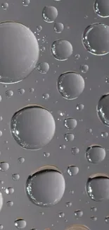 Gray water droplets forming a minimalist abstract pattern.