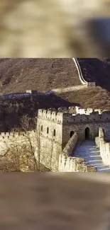 Great Wall of China scenic mobile wallpaper in brown hues.