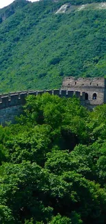 Great Wall of China scenic wallpaper with lush green mountains.