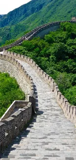 The Great Wall of China amidst lush green hills.