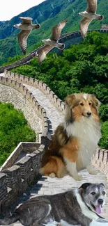 Great Wall of China with dogs and birds, vibrant nature.