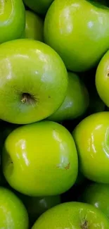 Close-up of fresh green apples, vibrant and lively.