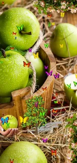 Green apples with butterflies in rustic basket.