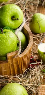 Green apples in a wooden basket with rustic hay background.