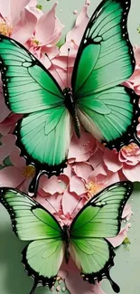 Green butterflies on pink flowers mobile wallpaper.