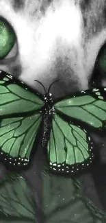 Green butterfly with matching cat eyes wallpaper.