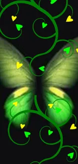 Green butterfly with heart accents on a dark background wallpaper.