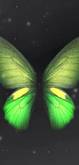 Green butterfly against a starry galaxy background.