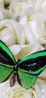 Green butterfly rests on white roses, creating a beautiful nature scene.