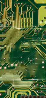 Green circuit board design wallpaper with gold lines