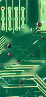 Intricate green circuit board pattern wallpaper.