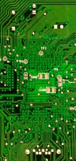 Green circuit board wallpaper with intricate electronic design.