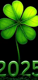 Vibrant green clover with 2025 text on black background.