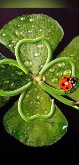 Vibrant wallpaper of a green clover with ladybug.