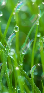 Close-up of dewy grass blades with bubbles in a vibrant green setting.