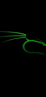 Minimalist green dragon on black background wallpaper.