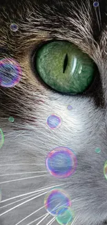 Close-up of a cat's striking green eye with intricate detail and vibrant color.
