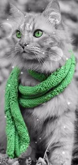 Cat with green eyes and scarf in autumn leaves.