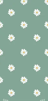 Sage green wallpaper with white daisies for a natural, minimal look.