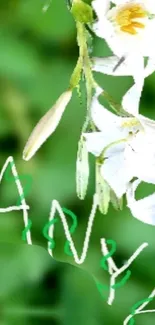 Green floral wallpaper with white flowers and handwritten text.