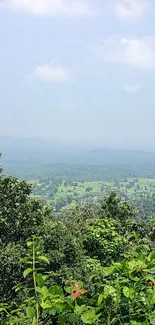 A captivating green forest landscape wallpaper with distant hills.