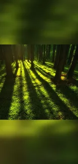 Green Forest Trunk Live Wallpaper