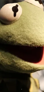 Close-up of a green frog with wide eyes and a vivid smile.