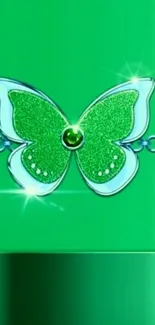 Green and silver butterfly with glitter on a bright background.