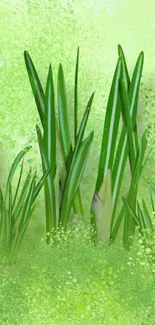 Illustrated green grass mobile wallpaper with a serene nature theme.