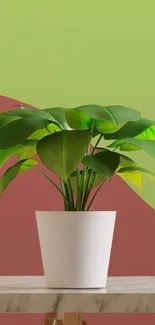 Green potted plant on wooden table with colorful background.