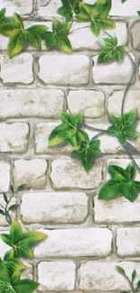 Green ivy cascading over a rustic brick wall backdrop.