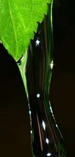 Close-up of green leaf with sparkling water droplet.